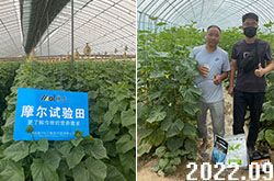 ԇ�������S��ʩ��ϲ�@�ɹ�